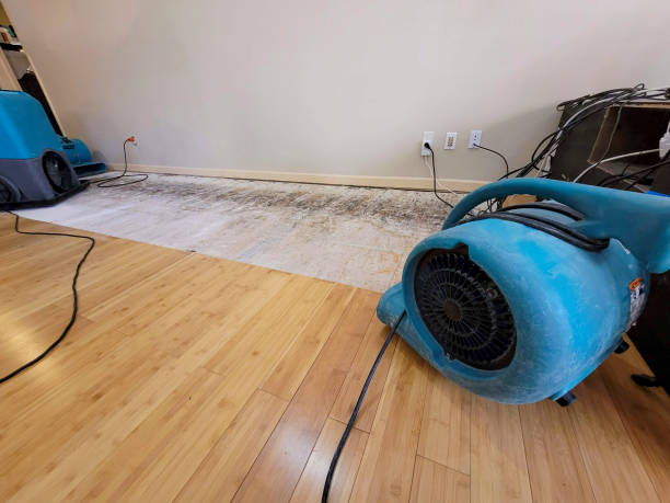 Professional Water Extraction technician working in Byron, CA